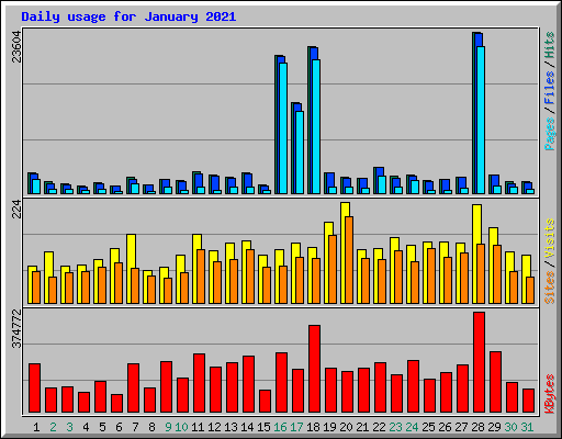 Daily usage for January 2021