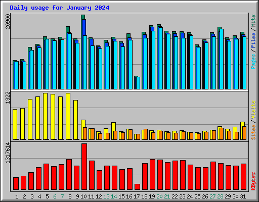 Daily usage for January 2024