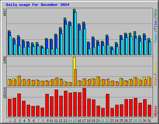 Daily usage for December 2024