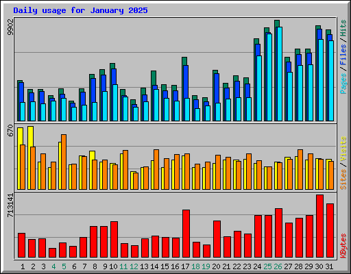 Daily usage for January 2025
