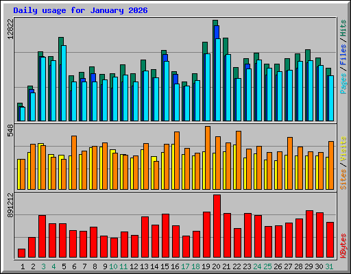 Daily usage for January 2026