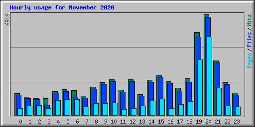 Hourly usage for November 2020