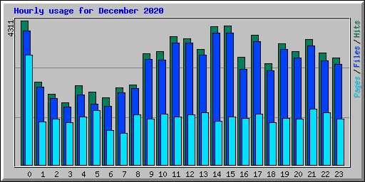 Hourly usage for December 2020