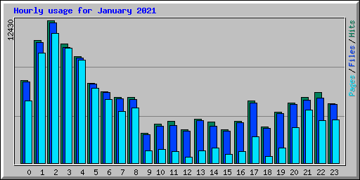 Hourly usage for January 2021