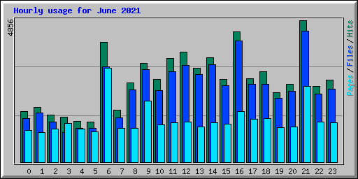 Hourly usage for June 2021