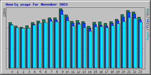 Hourly usage for November 2023