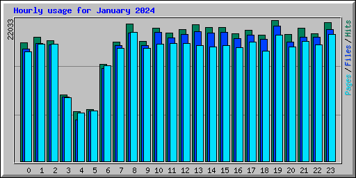 Hourly usage for January 2024