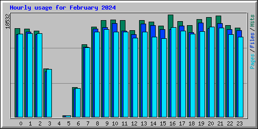 Hourly usage for February 2024