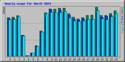 Hourly usage for March 2024
