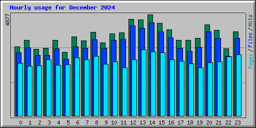 Hourly usage for December 2024