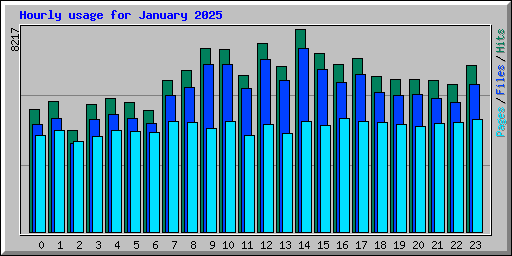 Hourly usage for January 2025