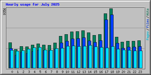 Hourly usage for July 2025