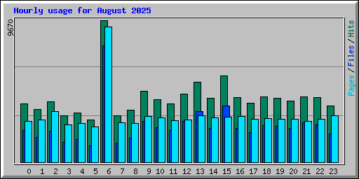 Hourly usage for August 2025