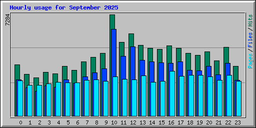 Hourly usage for September 2025