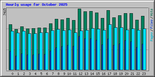 Hourly usage for October 2025