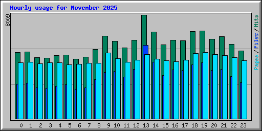Hourly usage for November 2025