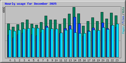 Hourly usage for December 2025