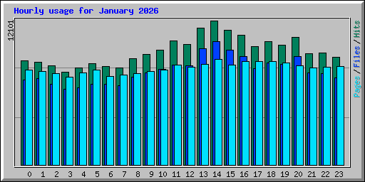 Hourly usage for January 2026