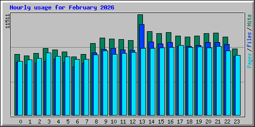 Hourly usage for February 2026
